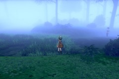 Pokemon Minisange Forêt de Sleepwood