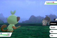 Pokemon Rongourmand Forêt de Sleepwood