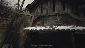 resident evil 8 village, emplacement chèvre protectrice, soluce et astuce, défi platine, hérétique, fr, guide, re8, re village, heisenberg, Dimitrescu, moreau, beneviento