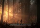 life is strange 2, jeu, jeux vidéo, square enix, jeu épisodique, ps4, pc , xbox one