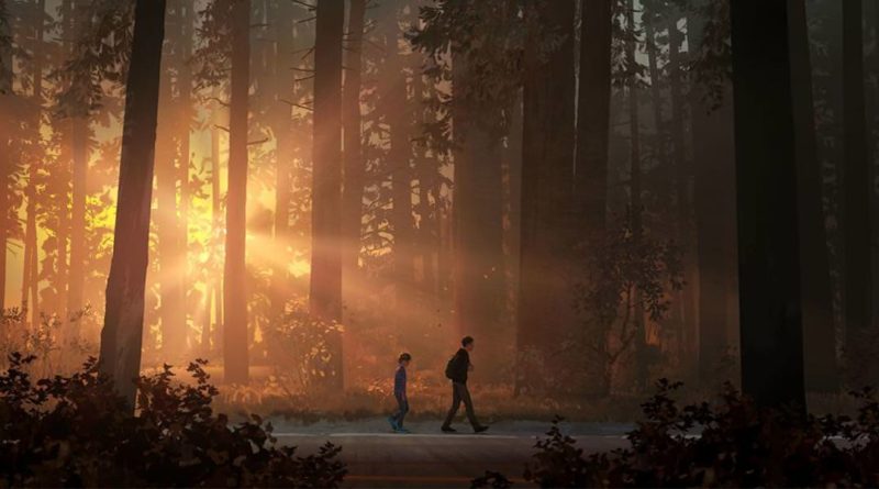 life is strange 2, jeu, jeux vidéo, square enix, jeu épisodique, ps4, pc , xbox one