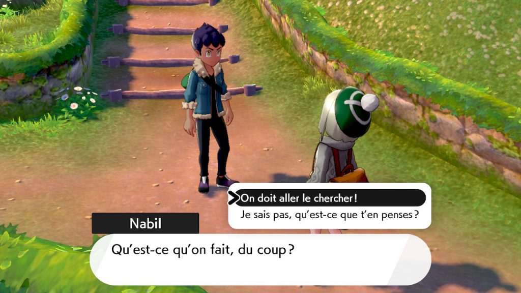 Solution Pokemon épée et bouclier, Forêt de Sleepwood moumouton