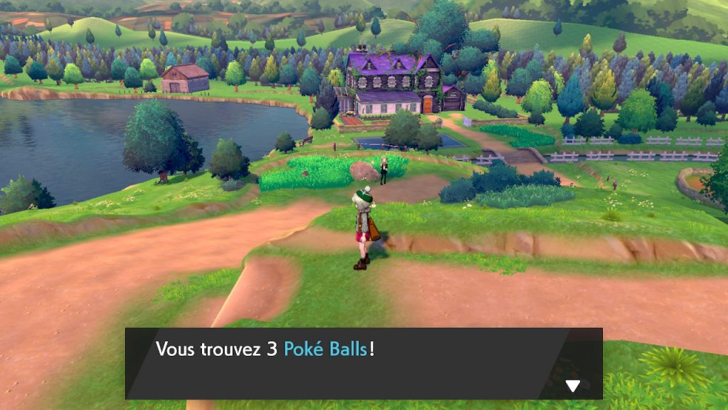 solution cheminement route 2 pokemon epee bouclier emplacement objet poké balls