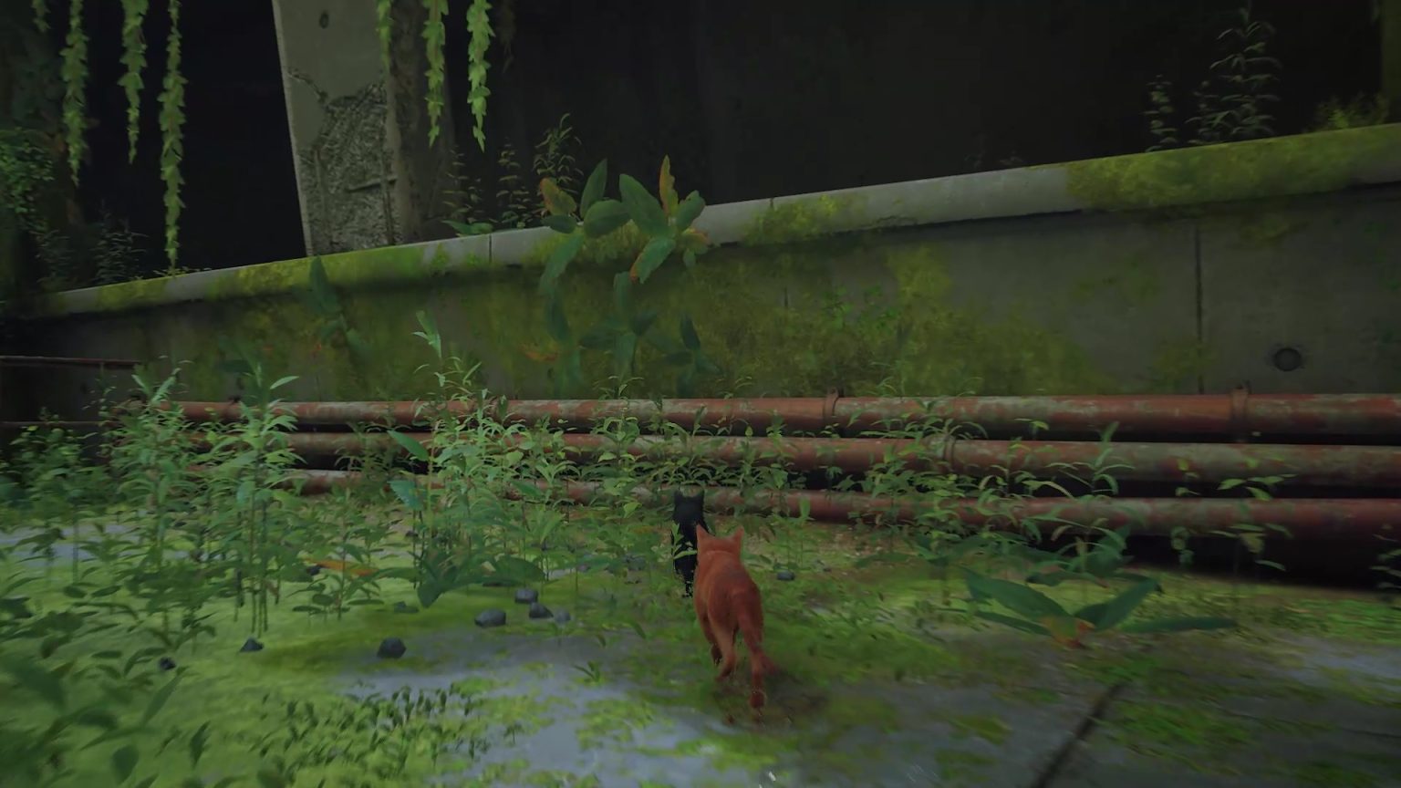 [Guide] Stray : Full walkthrough - GameActuality.com
