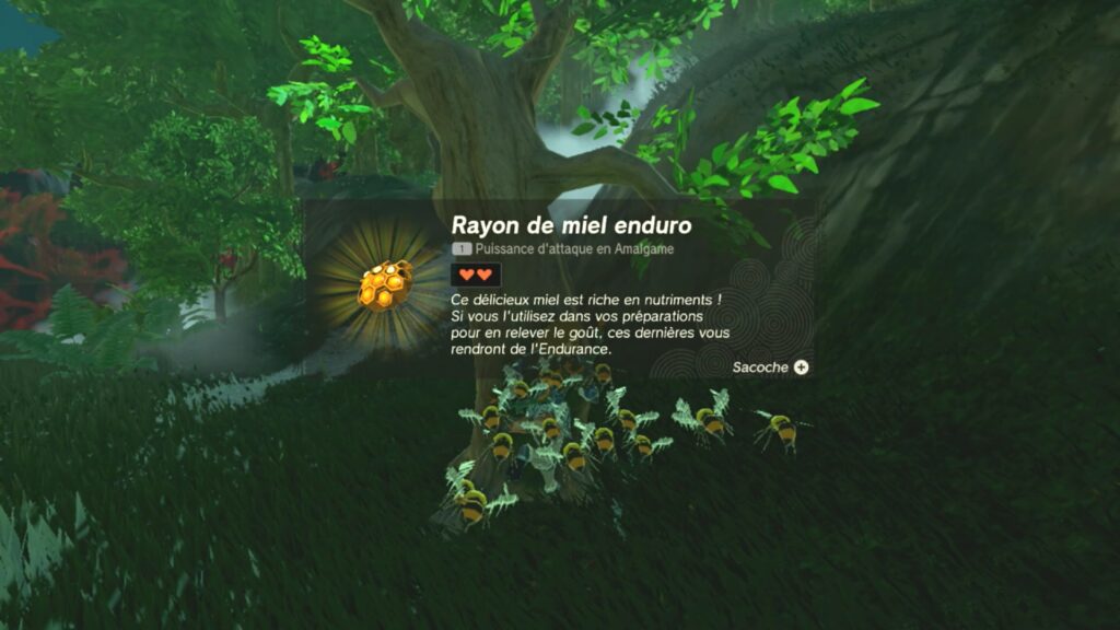 zelda tears of the kingdom, totk, astuce, guide, soluce, toutes les grande fées, nintendo siwtch oled, fée cotura