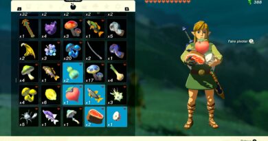 the legend of zelda tears of the kingdom soluce toutes les recettes guide astuce nintendo switch.29