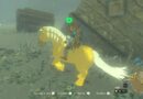 zelda tears of the kingdom mission cheval doree de zelda soluce solution guide