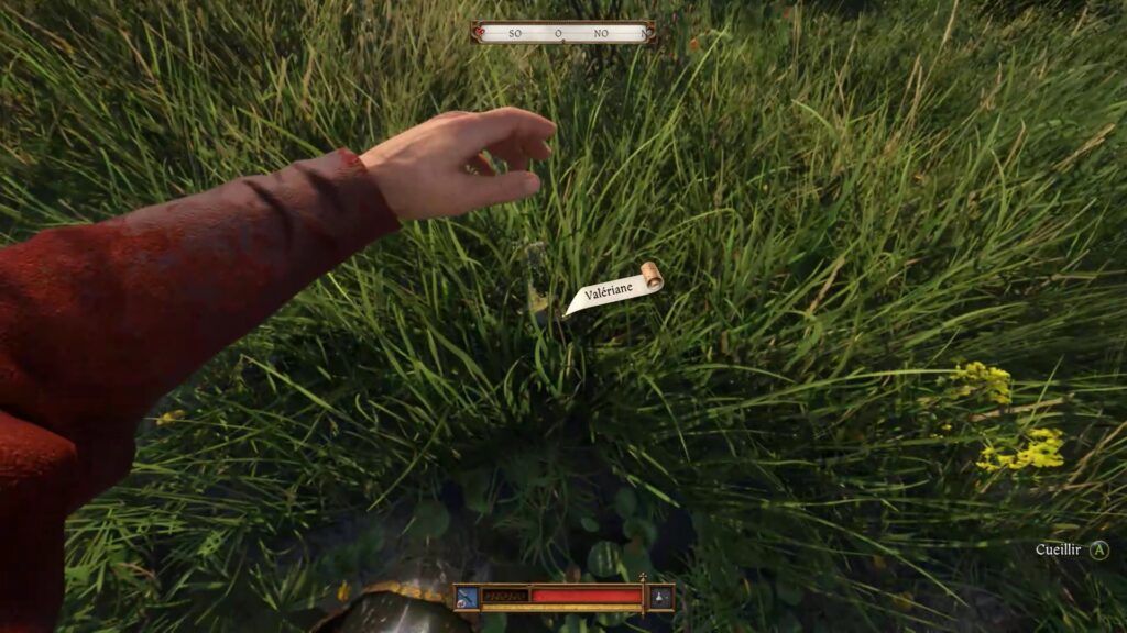 natures mortes dlc kingdom come deliverance 2 xbox ps5 pc soluce guide carte 