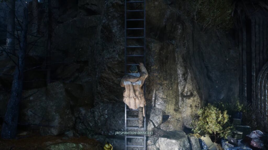 hell is us soluce guide astuce jeu xbox pc playstation ps5 foret senedra enigme 