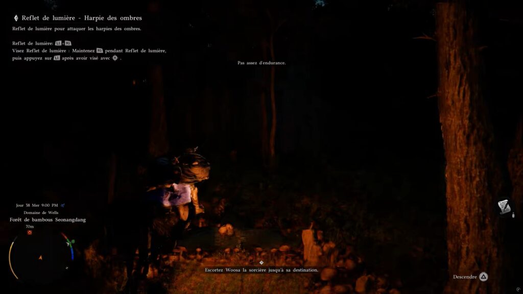 Crimson Desert soluce solution guide astuce bastier damiane demeniss quete boss souvenir xbox pc ps5