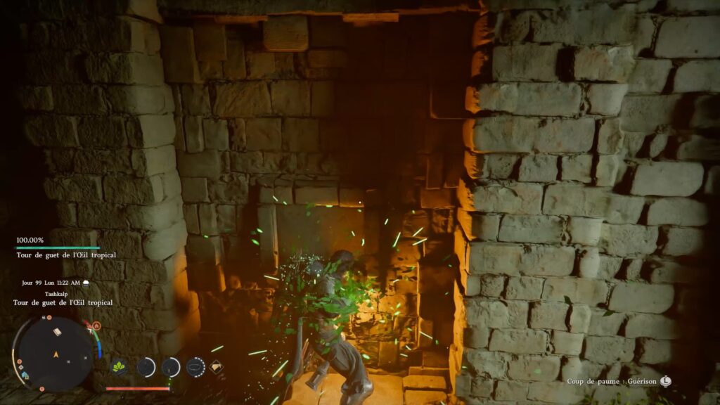 crimson-desert-emplacement-armure-cuir-carmin-elegante-damiane