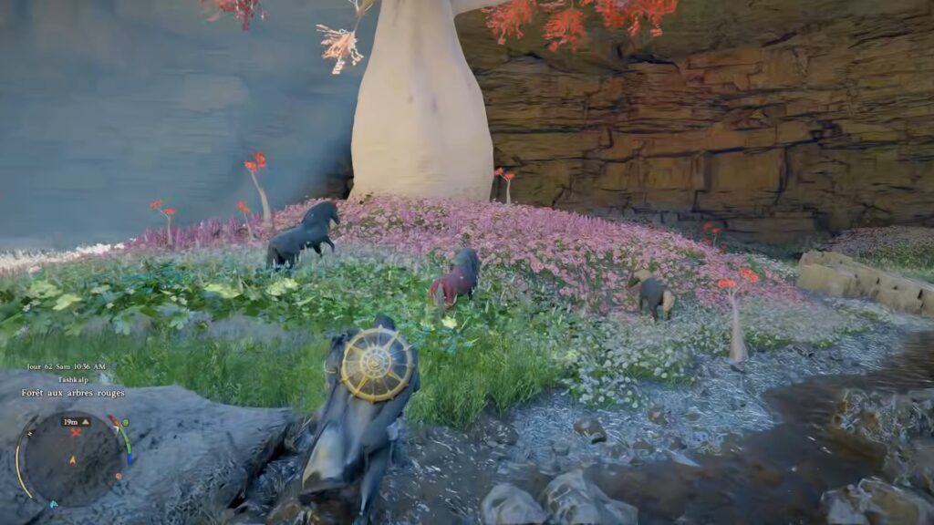 crimson-desert-soluce-emplacement-monture-legendaire-cheval-camora