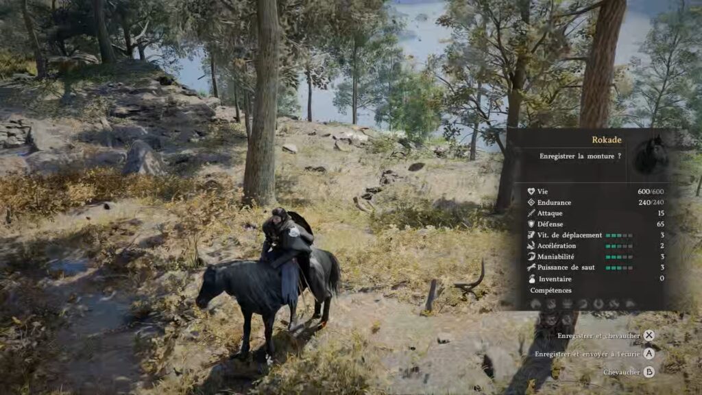 crimson-desert-soluce-emplacement-monture-legendaire-cheval-rokade